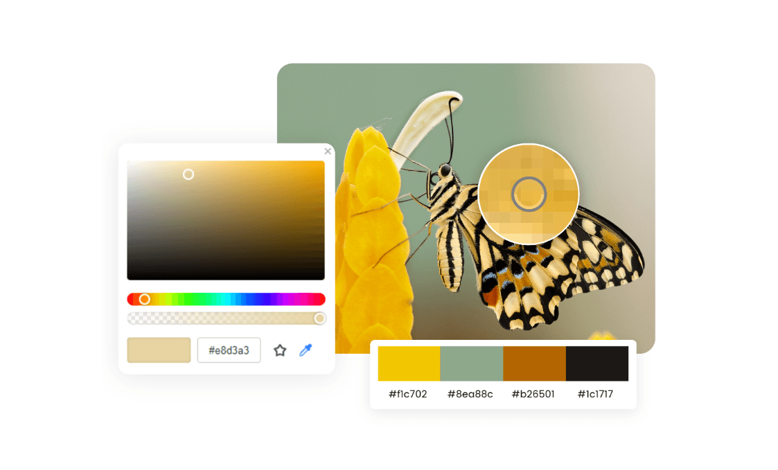 How to Pick Color from an Image Online – Step-by-Step Guide